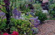 Casa Flora Garden Studio (Gite) - Foto 6