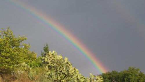 Alojamiento Las Palmeras - Foto 4