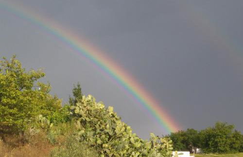 Alojamiento Las Palmeras - Foto 4