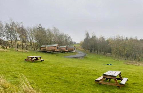 1 Bedroom Log Cabin in Parc Pen y Bryn Sleep 2/3 - Photo 11