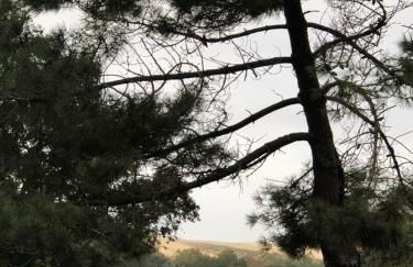 Le Boucanier - Foto 22