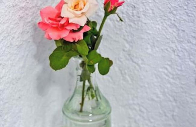 Apartments With Garden View, Creta, Ierapetra - Foto 36