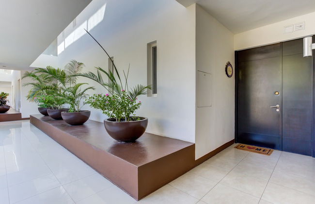 El Tigre Ibiza Condos - Foto 2