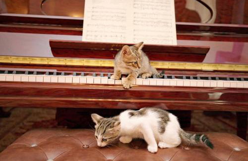 Retro Athens - Foto 14