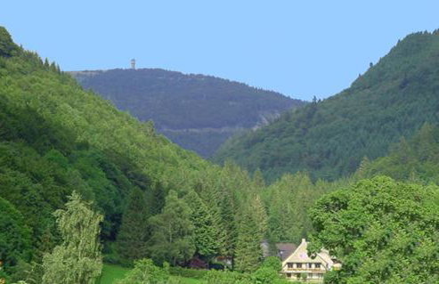Haus Maria - Photo 59