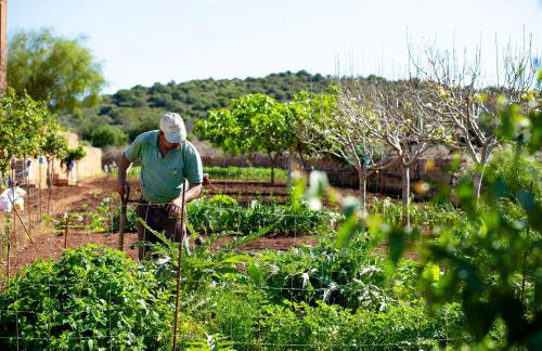 Finca Sos Ferres D'en Morey - Foto 44