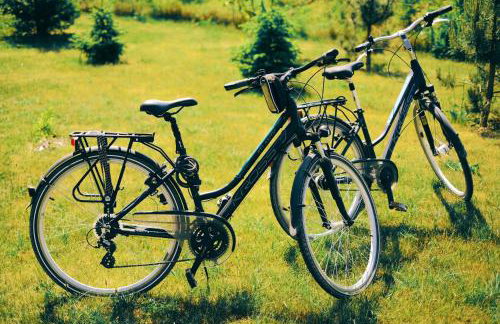 Oaza Relaksu Wigry -domek na wyłączność - Foto 27