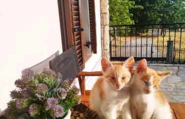 Cosy lake house, μια ανάσα πριν τη λίμνη - Photo 22