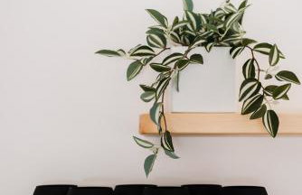 ALS Holiday Houses by Konnect, 900m from Ipsos Beach - Photo 8