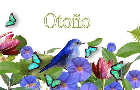 Slow House y La cabaña de Miss Slower - Foto 14