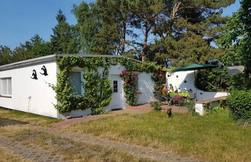 Ferienhäuschen - Foto 41