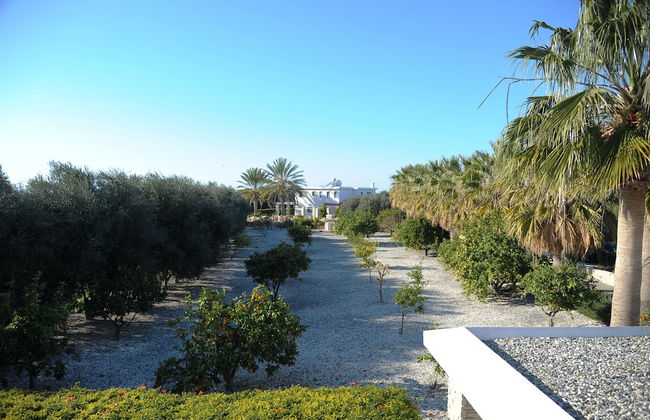 Luxury 6 Bedroom Villa With Privet Pool in Paphos - Foto 43