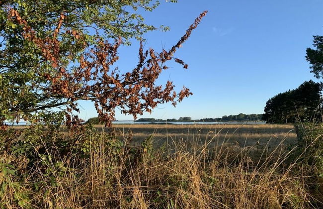Uitzicht op de Kraanvogel - Foto 18