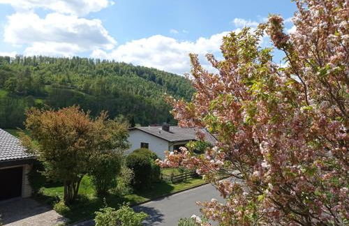 Appartement 2 Schlafzimmer, Terrasse, Hund, Kamin - Foto 12