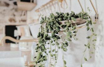 Appartement calme style bohème chic - Foto 29