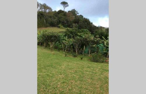 Summer house with BBQ and Garden - Foto 25