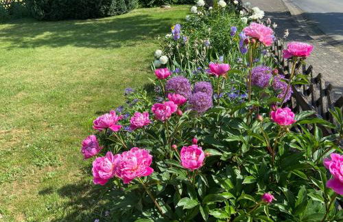 Haus Dorfidyll - Foto 19