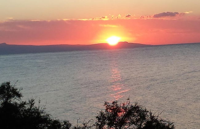 Sun Camero Apartments - Photo 29