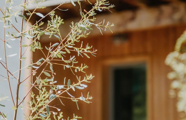 La Maison Augustine - Foto 26