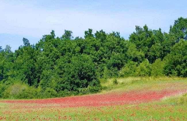 Private Garden House in Redortiers - Foto 40