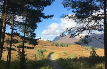The Pines Self-catering cottage,Wester Ross, Scotland - Foto 27