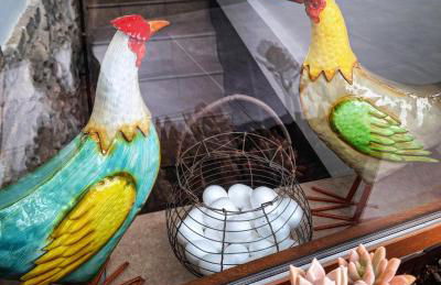 Cal Passió - Foto 15