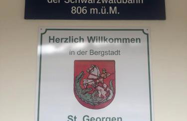 Schwarzwaldblick - Foto 4