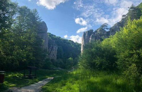 Leśna 6 - House with a garden - Foto 44