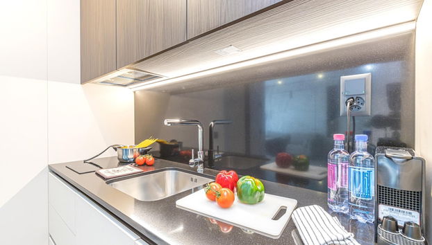 Icon H 208 Suite Micro-living - Foto 3, Cocina privada