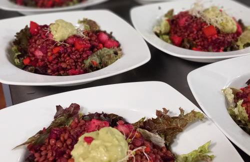 Mas Vilar, relax, nature and slow Exclusive Only 6 rooms - Foto 8