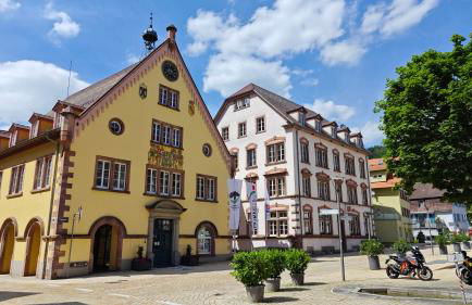 Schwarzwaldraum Schlossblick - Foto 33