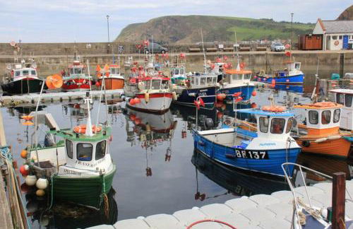 Bellevue Holiday Cottage - Foto 56