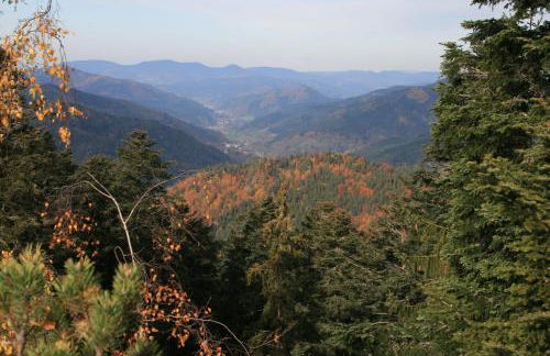 Haus am Waldrand - Foto 13