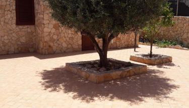 Casa Maria - Foto 4, Garden