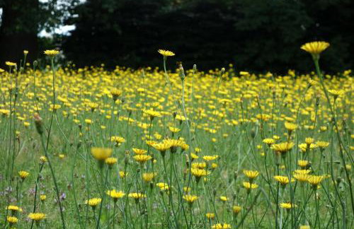 Haus am Hof - Foto 30
