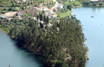Casa da Eira em Dornes - Casa de campo familiar com piscina - Foto 34