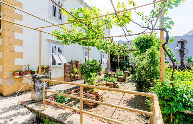 Guest House Ivana - Foto 23