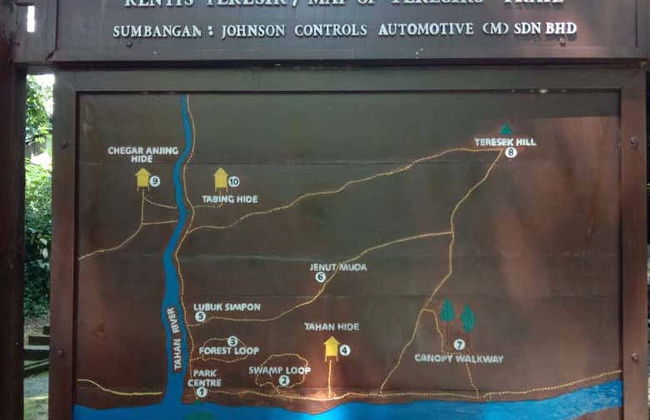 Excursion dans la jungle Taman Negara - Photo 4