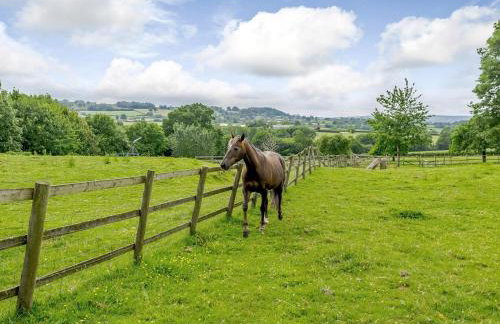 3 Bed in Ilminster oc-77987 - Foto 20