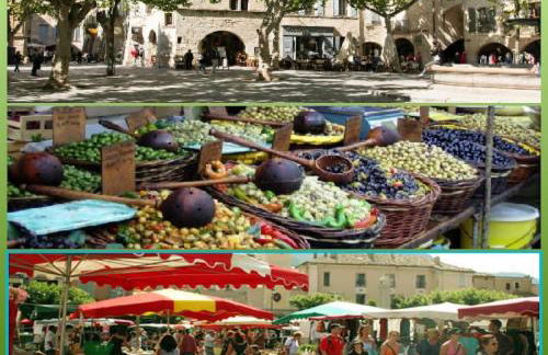 le Globe Trotter - Aux Portes d'Alès - Foto 19