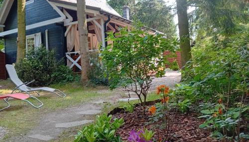 Black & White - Honey - Photo 3