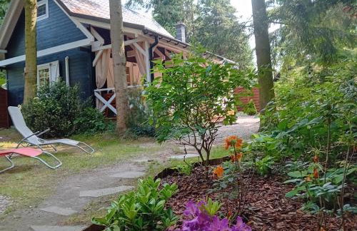 Black & White - Honey - Photo 3