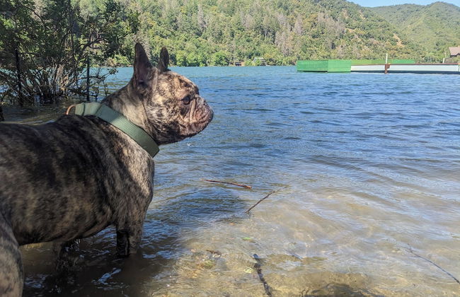 Blue Lakes Village - Foto 68