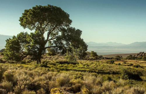 Stunning Lone Pine Accommodation for Romantic Getaways in California - Foto 14