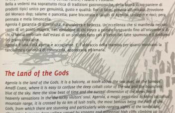 Coastal Cliff, Amalfi - Photo 41