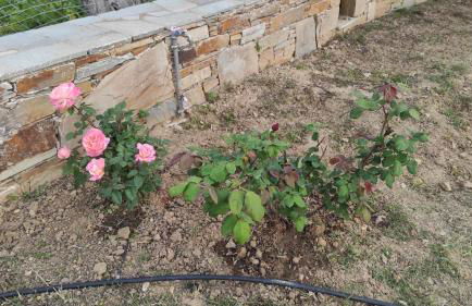 Chrysa's cottage house - Foto 38