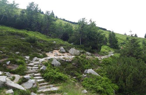 Apartament Zielone Wzgórze 2 - Foto 62