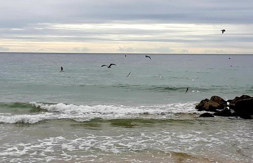 Jeannie's Oura Estrela - Foto 12