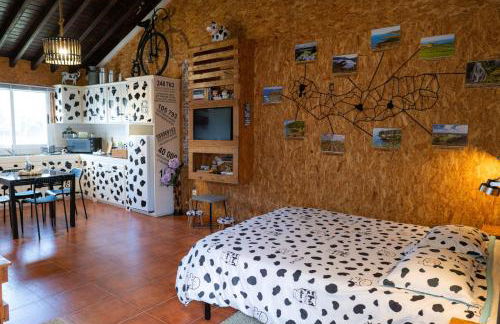 Azores Cow House - Foto 79