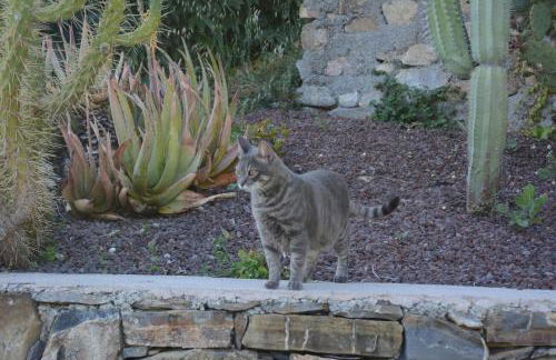 Agriturismo San Michele di Danio Giovanni - Foto 17